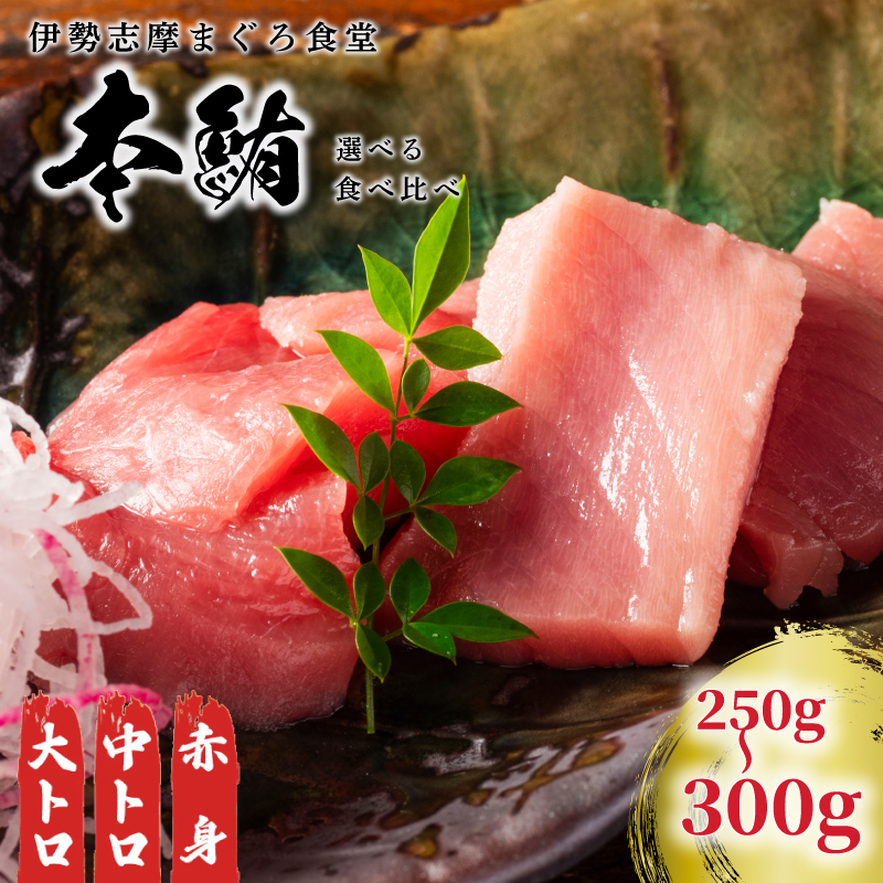 本マグロ刺身 約250~300g 柵 伊勢志摩まぐろ食堂 / 本まぐろ  マグロ maguro 刺し身 sasimi sashimi 本鮪 専門店 食べ比べ 鮪 刺し身
